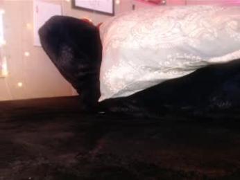 milf_lacey webcam model stream image