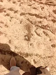 xmanraavan webcam model stream image