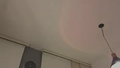 verodeli webcam model stream image