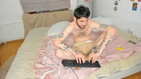 lux_horizon webcam model stream image