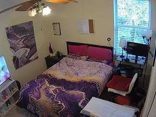 voyeurcam-hornyhostel-01 webcam model stream image