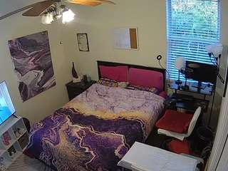 voyeurcam-hornyhostel-01 webcam model stream image