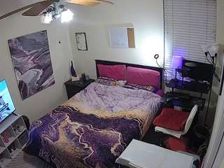 voyeurcam-hornyhostel-01 webcam model stream image