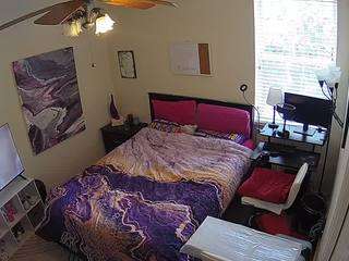 voyeurcam-hornyhostel-01 webcam model stream image