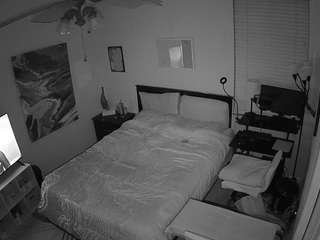 voyeurcam-hornyhostel-01 webcam model stream image
