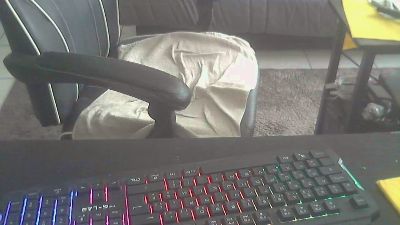 pussaddicte webcam model stream image