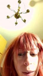 Annarellapika webcam model stream image