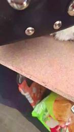 Madrid_sierra webcam model stream image