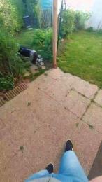 tomsauwer webcam model stream image