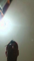 Morenotatoobr webcam model stream image