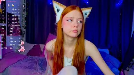 WeiSusi webcam model stream image