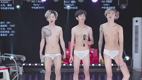 AOA-TOD webcam model stream image