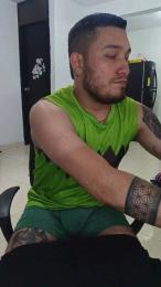 _LIONEL_ webcam model stream image