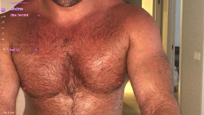 sir_box webcam model stream image