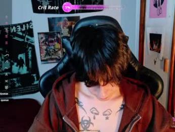 sai_l webcam model stream image