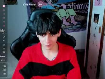 sai_l webcam model stream image