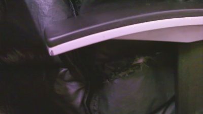 erasmo45 webcam model stream image