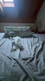 Barbiebionda webcam model stream image
