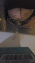 wandedarbis webcam model stream image