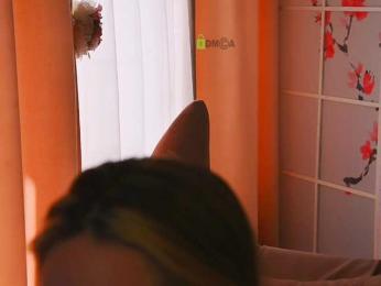 -ANN webcam model stream image