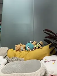 KPL-11 webcam model stream image