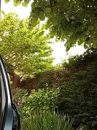 BZH45 webcam model stream image