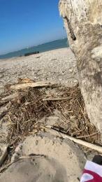 Danyblack1985 webcam cam4 model stream image