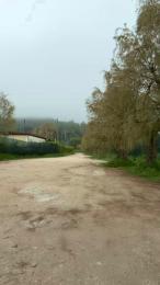 Danyblack1985 webcam cam4 model stream image