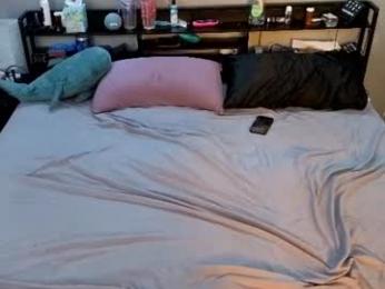 polycircus webcam model stream image