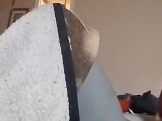 ffiranek89 webcam model stream image