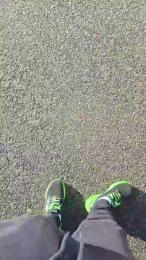 ALEXRED86 webcam model stream image