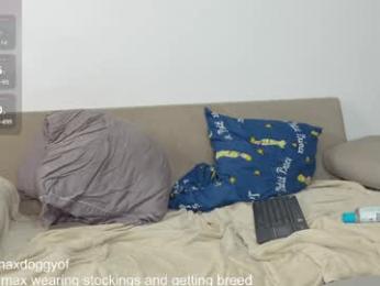 maxdoggy webcam model stream image