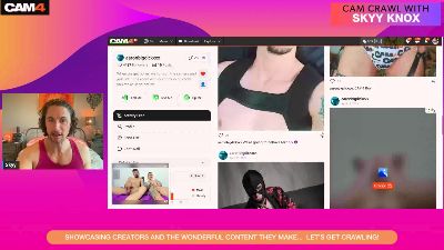 camcrawl webcam model stream image