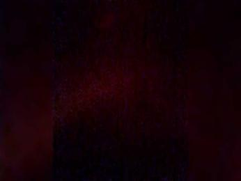 EVIl_TITS webcam model stream image