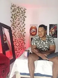 ARTHUR_MINI webcam model stream image