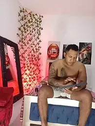 ARTHUR_MINI webcam model stream image