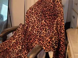 butterflybooty webcam model stream image