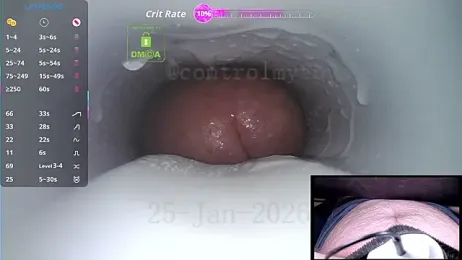 controlmytoys webcam model stream image