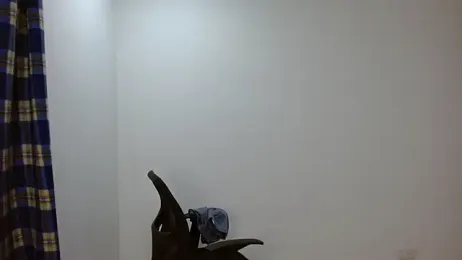 jaico_santos webcam model stream image