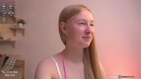 ViviRi webcam model stream image