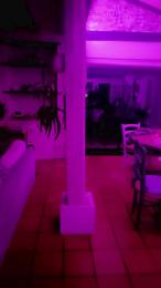 Jade_emeraud webcam model stream image