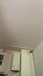 Silvzrhaaze webcam model stream image