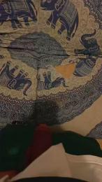 nano381 webcam model stream image