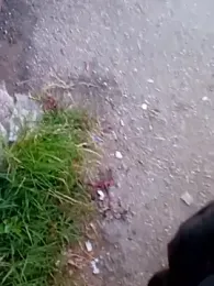 blackman933z webcam model stream image