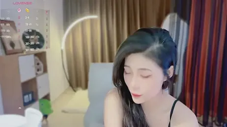 Vaidurya-Yolo webcam model stream image