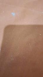 42334363gjp webcam model stream image