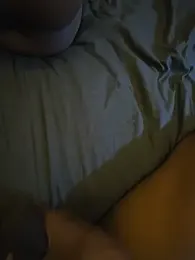 Hugetoolnick webcam preview