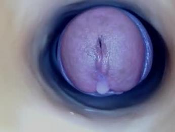 paulainoscente webcam chaturbate model stream image