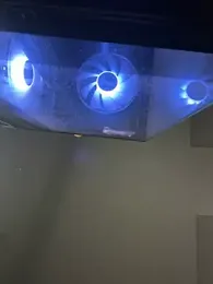 Nhefertary webcam model stream image