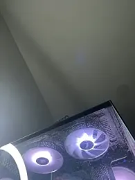 Nhefertary webcam model stream image